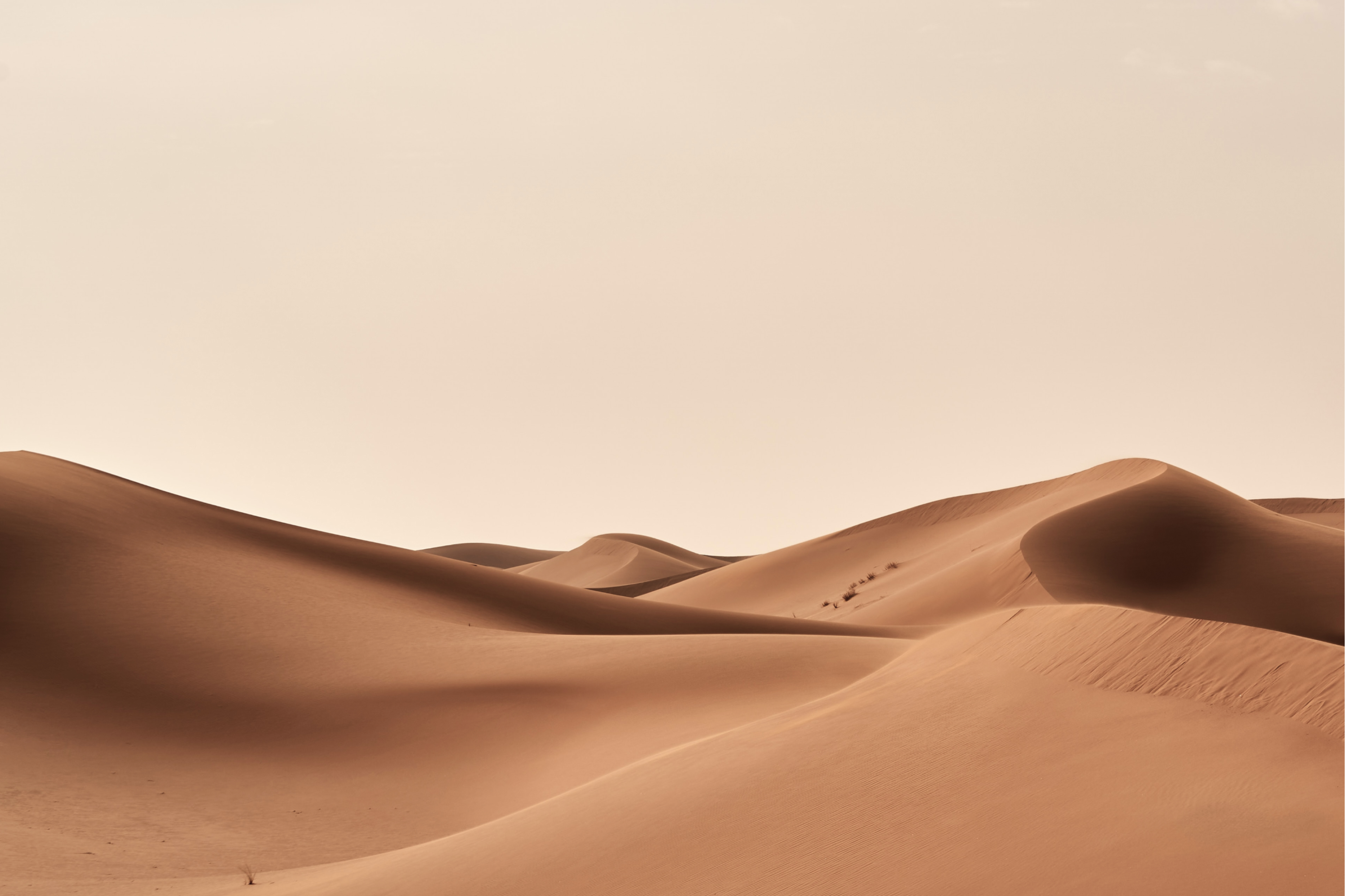 Image of Mobile Screenshot