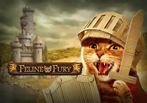 Feline Fury